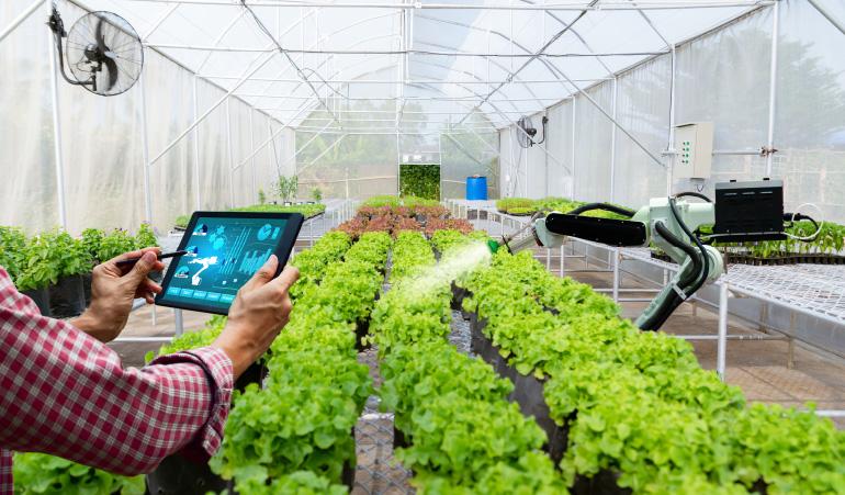 Monitoring crops with a tablet inside a smart greenhouse